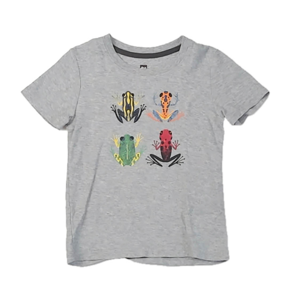 Tea Collection Boys Gray Frogs T-Shirt size: 4T